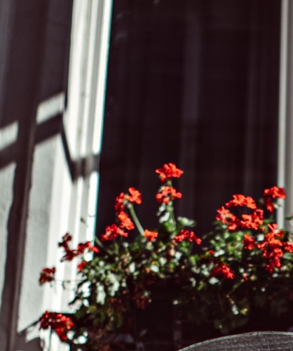 Chambre au calme - Monsieur Cadet Paris